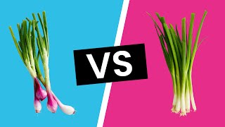 Spring Onion vs Green Onions  Whats the Difference [upl. by Nwadahs989]