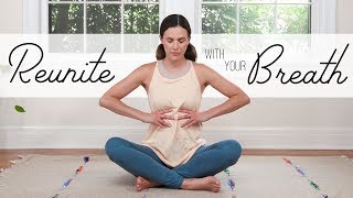 Reunite With Your Breath  19Minute Breath Practice [upl. by Worsham]