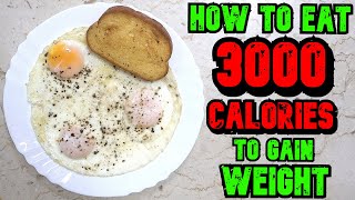 How To Eat 3000 Calories A Day To Gain Weight [upl. by Sabian]