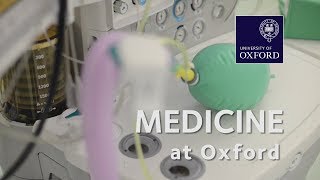 Medicine at Oxford University [upl. by Enoek134]