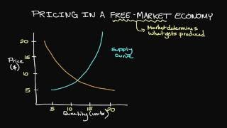 Pricing in a FreeMarket Economy [upl. by Annayram]