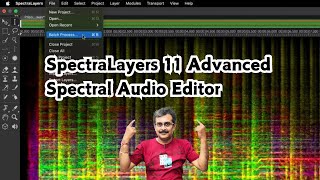 SpectraLayers 11 Pro Advanced Spectral Audio Editor [upl. by Eiryk]