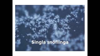 ”Singla snöflinga” blir till NATURSPANARNA [upl. by Sera976]