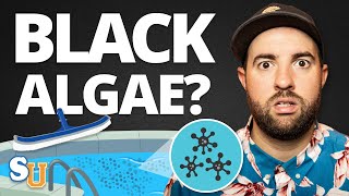 How To Get Rid Of BLACK ALGAE In Your POOL [upl. by Krenn91]