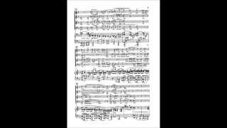 Brahms Deutsches Requiem 1st movement Bass [upl. by Nosdivad253]