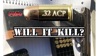 Truth about the 32 ACP [upl. by Chud]