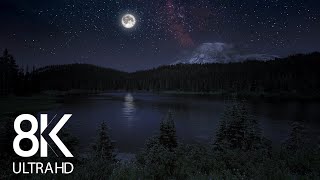 10 HRS of Nighttime Nature Soundscapes Lake Waves Cicadas Crickets  8K Enchanting Night [upl. by Eceirtal]