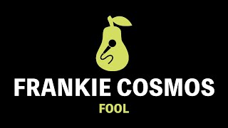 Frankie Cosmos  Fool Karaoke [upl. by Sabec]