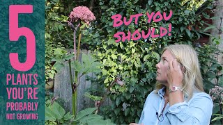 5 plants you probably dont grow but should  The Impatient Gardener [upl. by Amiel]