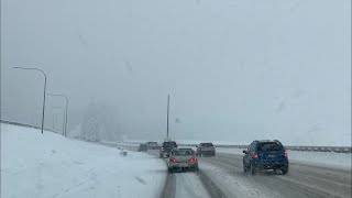 Snoqualmie Pass Snowstorm LIVE [upl. by Hafinah]