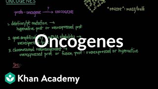 Oncogenes  Biomolecules  MCAT  Khan Academy [upl. by Yorgos]