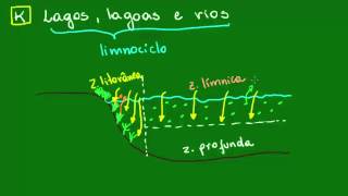 Lagos lagoas e rios  Ecologia  Biologia [upl. by Fuhrman]