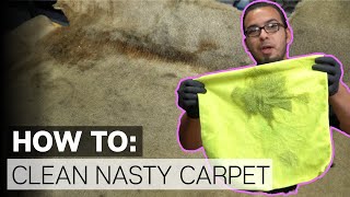 How To Clean 15 Year Old Nasty Stained Carpet  Chemical Guys [upl. by Cottrell]