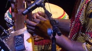 The Griot tradition of West Africa  Sibo Bangoura  TEDxSydney [upl. by Eimmac]