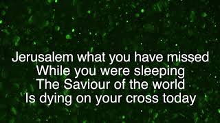 While You Were Sleeping  Casting Crowns  lyric video [upl. by Towers]