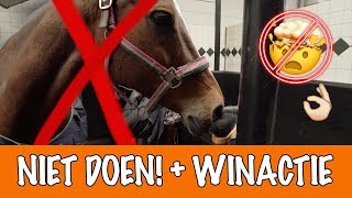 Doe dit NOOIT met paarden  PaardenpraatTV [upl. by Eirised]