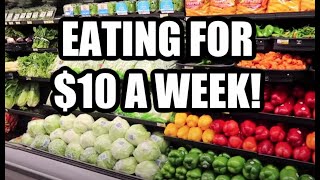 HOW TO EAT FOR 150 A DAY  Emergency Extreme Budget Grocery Haul 2020 with Frugal Fit Mom [upl. by Eseerehs]