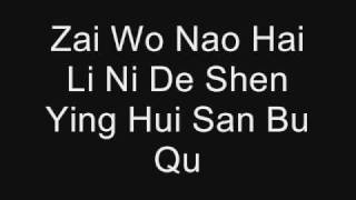 Qing Fei De Yi by Harlem Yu Lyrics PINYIN [upl. by Rehpotsirhc]