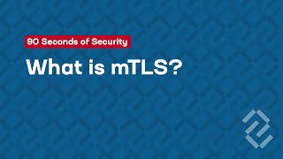 What is Mutual TLS mTLS [upl. by Kippar]