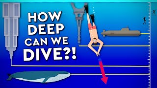 What Is The DEEPEST A Human Can DIVE Debunked [upl. by Weaks961]