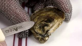 How to Shuck an Oyster The Right Way [upl. by Maddox223]