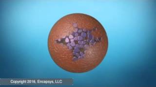 Interfacial Microencapsulation and Rupture [upl. by Arehs533]