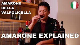 Big RED WINE  Amarone Explained [upl. by Adallard679]