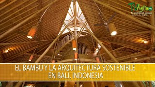 El Bambu y la Arquitectura Sostenible en Bali Indonesia  TvAgro por Juan Gonzalo Angel Restrepo [upl. by Clabo47]