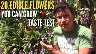 20 Edible Flowers You Can Grow amp Eat Taste Test [upl. by Dorman]