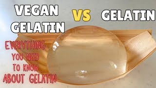 Everything you need to know about Gelatin and Vegan GelatinGelatin Agaragar Carrageenan EP214 [upl. by Akeemat]