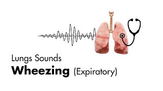 Wheezing expiratory  Lung Sounds  MEDZCOOL [upl. by Wilone]