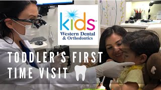 1st Time Toddler Dentist Visit  Western Dental Kids  Pediatric Dentist Corina Ramirez [upl. by Narcis]