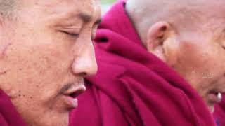 Dalai Lama Biography and Life Story  Full Documentary [upl. by Rella]