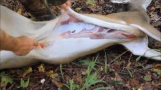 BEST Field Dressing Method for Deer [upl. by Patrizio535]