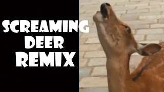 Screaming Deer  Remix Compilation [upl. by Clayberg]