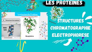 📣 Proteins Structures Techniques de séparation Chromatography Electroporesis اقوى شرح للبروتينات [upl. by Feinberg]