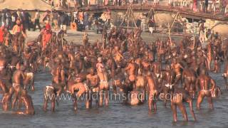 Best of Allahabad Kumbh mela  Worlds largest religious gathering [upl. by Zasuwa848]