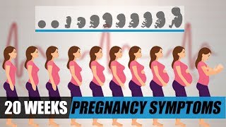 Fetal Development Week by Week  20 Weeks Pregnant Symptoms [upl. by Brenan255]