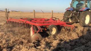 Field Prep for Sprigging [upl. by Cardie]