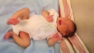 Newborn Baby Kicking and Crying [upl. by Enale]