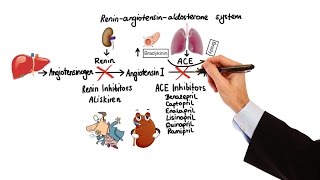 Pharmacology  HYPERTENSION amp ANTIHYPERTENSIVES MADE EASY [upl. by Lennaj]