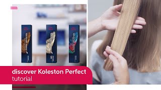 Everything You Need to Know About Koleston Perfect  Wella Professionals [upl. by Jamill]