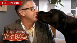 Dogs Behaving Very Badly Series 1  Episode 4  Full Episode [upl. by Lolande]