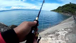 Testing Shimano Sienna 4000 series reel [upl. by Anitsrik]