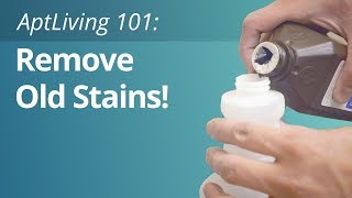 How To Remove Old Stains From Carpet [upl. by Debarath]