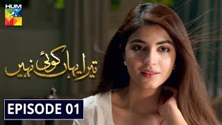 Tera Yahan Koi Nahin Episode 1 HUM TV Drama 30 December 2019 [upl. by Thalassa540]