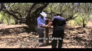 Yaquis the story of a popular struggle and a Mexican genocide English Subs  HD Documentary [upl. by Morice]