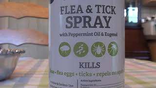 Natural Care Dog amp Cat Flea amp Tick Spray REVIEW NON TOXIC [upl. by Shaia]