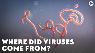 Where Did Viruses Come From [upl. by Girand]