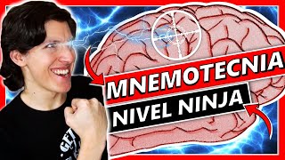 🧬 QUÉ ES LA MNEMOTECNIA en 5 Pasos con EJEMPLOS  Cómo Memorizar Rápido 1 [upl. by Ellasal]